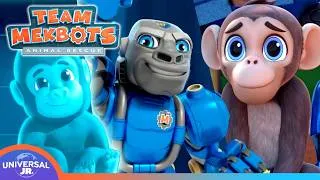 Thumbnail: Monkey Mayhem! 50+ Minutes of TEAM MEKBOTS ANIMAL RESCUE