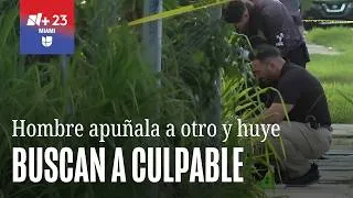 Thumbnail: Buscan a sospechoso de apuñalar a un hombre de 69 años durante robo en el noreste de Miami