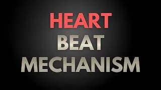 Thumbnail: Heart Beat Mechanism Discussion | Distributed System