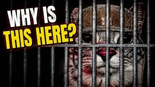 Thumbnail: They’re putting me in prison because of a garage