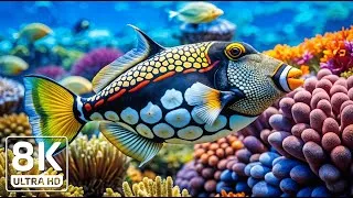 Thumbnail: Crystal Ocean 8K - Beautiful Marine Life for Stress Relief