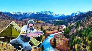 Thumbnail: Fishing a River PARADISE!  SOLO Backcountry Camping for 3 Nights (MASSIVE Trout Caught!)