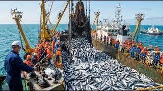 Thumbnail: Harvesting Tons of Fish from the Ocean: A Close-Up of a Massive Fishing Vessel
