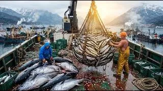 Thumbnail: A Close-Up Look at Hauling in Tons of Giant Tuna in the Middle of the Ocean!