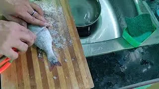 Thumbnail: Emperor fish cleaning