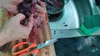 Thumbnail: Tuna fish cutting