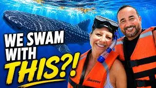 Thumbnail: Is Holbox Mexico Worth Visiting? Our Honest Review