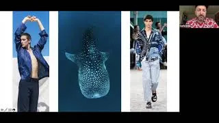 Thumbnail: UPW SS21 Webinar INISGHT