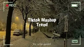 Thumbnail: TikTok mashup november!!⛄️
