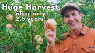Thumbnail: First Ever Home Orchard Tour!