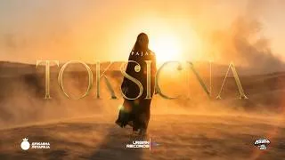 Thumbnail: Pajak - Toksicna (Official Lyrics Video)
