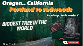 Thumbnail: Oregan(Portland) to redwoods| Day-1| Biggest tree’s in the world😱|#viral #trending #usa #travel #us