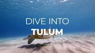 Thumbnail: 2027 Tulum Incentive Trip