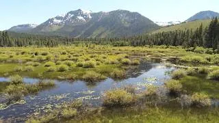Thumbnail: Tallac Creek Near Lake Tahoe