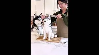 Thumbnail: $1000 antics will make your stomach ache with laughter😀😃😄😁