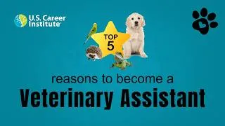 Thumbnail: Top 5 Reasons to Become a Veterinary Assistant