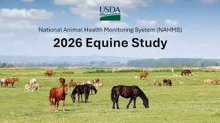 Thumbnail: National Animal Health Monitoring System (NAHMS) Equine 2026 Study
