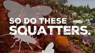 Thumbnail: Love Your Backyard? Help Stop Invasive Species From Spreading.