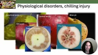 Thumbnail: Agricultural Outlook Forum 2026 - AI Driven Risk Assessment Tools for the Pome Fruit Industry