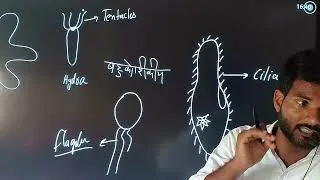 Thumbnail: Paramecium Explained | Structure, Movement, Nutrition & Reproduction | usmaniya classes 