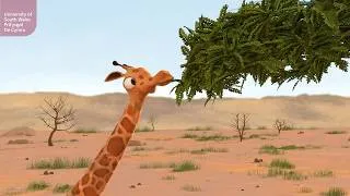 Thumbnail: Computer Animation BA (Hons) | CG 3D Animation Course | University of South Wales | Cardiff Campus