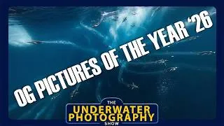 Thumbnail: Reviewing Ocean Geographic Pictures of the Year 2026