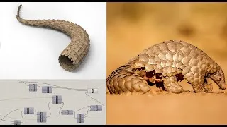 Thumbnail: Pangolins tail in Grasshopper - Grasshopper tutorial ( decrease gradually the number of geometry )