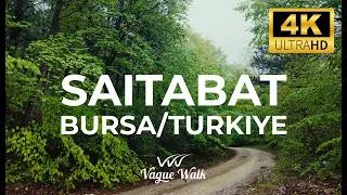 Thumbnail: Heavy Rain at Saitabat Waterfall | 4K 60fps ASMR Nature Walk
