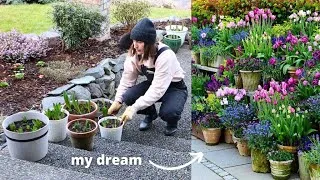 Thumbnail: trying to turn my yard into a cottage garden