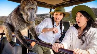 Thumbnail: We Got Attacked by a Baboon in South Africa (ft. ExtraEmily)