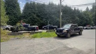 Thumbnail: Bear attack Maple Ridge