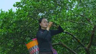 Thumbnail: A Busy Day in Our Simple Life | Harvesting and Preparing for Tomorrow