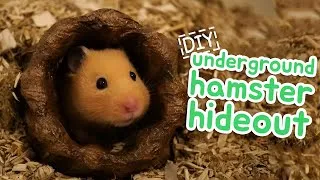 Thumbnail: 📦 Underground Hamster Hideout | HAMSTER DIY 📦