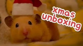 Thumbnail: Christmas Hamster Mail Unboxing 🐹📦