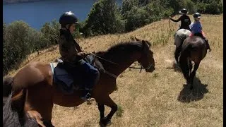 Thumbnail: Vanners Horse Trekking, Lake Okareka