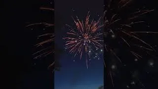 Thumbnail: Sounds of Freedom 2024 - Mark Pavuk - Left Field View