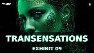 Thumbnail: Transensations | Exhibit 09 | Melodic House & Techno | VASHO
