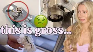 Thumbnail: 17 DISGUSTING Things in Your Kitchen Guests Notice (But You Don’t)!