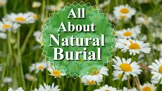Thumbnail: All About Natural Burial