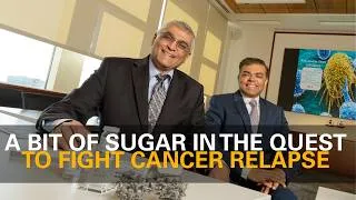 Thumbnail: What are GAGs? VCU's Umesh Desai explains.