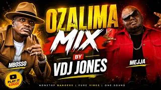 Thumbnail: AFRICAN BANGERS 2026 🔥 | AFROBEATS & AMAPIANO MIX 2026  | VDJ Jones