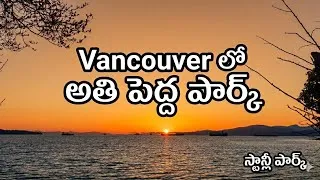 Thumbnail: Sunset Magic at Stanley Park 🌅| A Beautiful day in Vancouver, Canada | #sunset #nature #naturelovers
