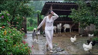 Thumbnail: A Young Woman Living on a Mountain Farm | Beautiful Countryside Life