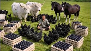 Thumbnail: Top 7 Exotic Farm Animals You’ve Probably Never Seen Before