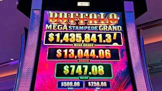 Thumbnail: JACKPOT NEW BUFFALO MEGA STAMPEDE GRAND!!!!!!!!!!!