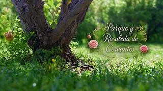 Thumbnail: Parque y Rosaleda de Cervantes en Barcelona 🌹 | Jardín Secreto
