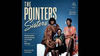 Thumbnail: The Pointer Sisters — Retro Soul Classics | Funk Energy • Chic Disco • Timeless Sisterhood
