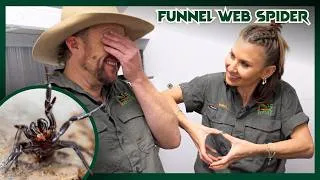 Thumbnail: Breeding the World's DEADLIEST Spiders | Venom Diaries
