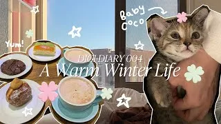 Thumbnail: how i spent my winter 💗 days out and my new kitten