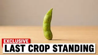Thumbnail: The "Poor Man's Meat": 7 High-Protein Crops Better Than Beef